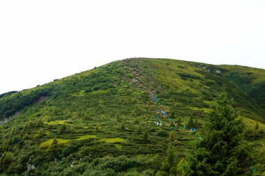 Dağlık, güzel manzara, turistlerin bir zincir yokuş yukarı yükselir. Ukrayna, Karpat Dağları. Seyahat kavramı, turizm, tatil, tatil, aktif rekreasyon
