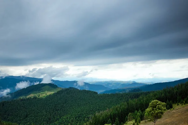 山、美しい風景。ウクライナ カルパチア山脈旅行、観光、休日、休暇の概念 — ストック写真