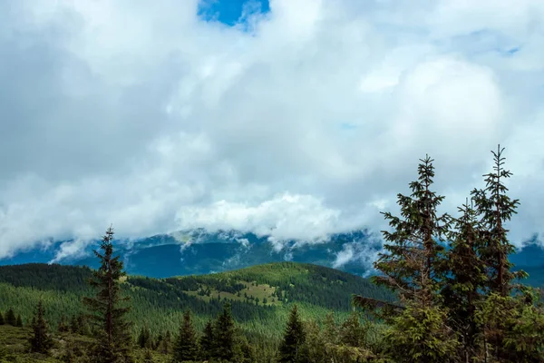 Montagna, bellissimo paesaggio. Ucraina, i Carpazi. Concetto di viaggio, turismo, vacanze, vacanze — Foto Stock