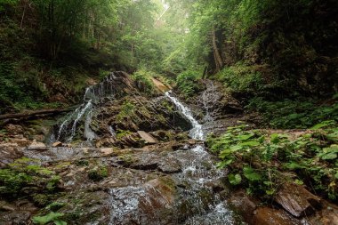 Mağara dağlarında küçük yeşil orman şelalesi, bir dağ nehrinde çağlayanlar. Aktif tatil kavramı, tatiller