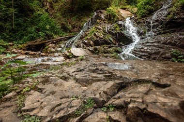 soğuk bir nehir şelale çağlayan taşlar, bir dağ nehri üzerinde çağlayanlar üzerine düşüyor. Aktif tatil kavramı, tatiller