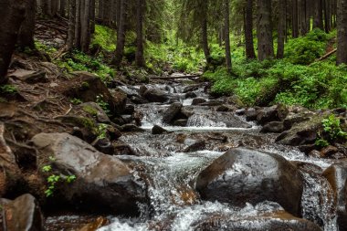 Mağara dağlarında küçük yeşil orman şelalesi, bir dağ nehrinde çağlayanlar. Aktif tatil kavramı, tatiller