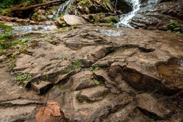 La cascade d'une cascade de rivière froide tombe sur les pierres, les cascades sur une rivière de montagne. Le concept de vacances actives, vacances — Photo