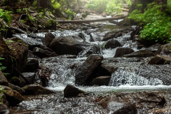 Paysage, ruisseau de montagne, cascades sur une rivière de montagne. Le concept de vacances actives, vacances — Photo