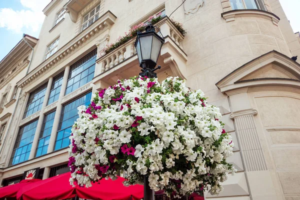 Creative background, white flower hanging on a lamppost in front of the house, close-up, natural plant background