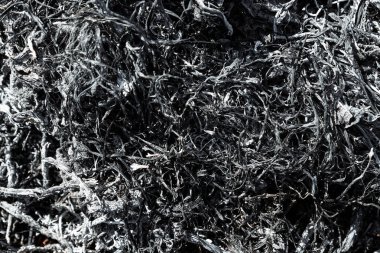 Gri arkaplan külleri, yanmış bitkiler, kömürlerin ve küllerin soyut dokusu. Makro çekim.