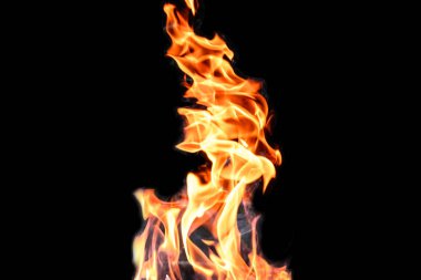 Yangın, siyah arka plandaki alevler izole edildi. Hafta sonu mangal partisini düşün..