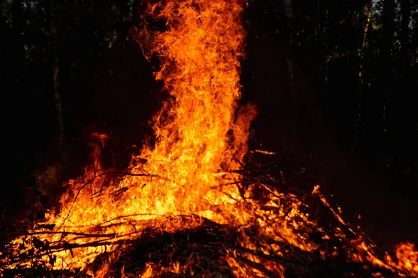 Skogsbränder, bränder i naturen, förstörelse av trädväxter. — Stockfoto