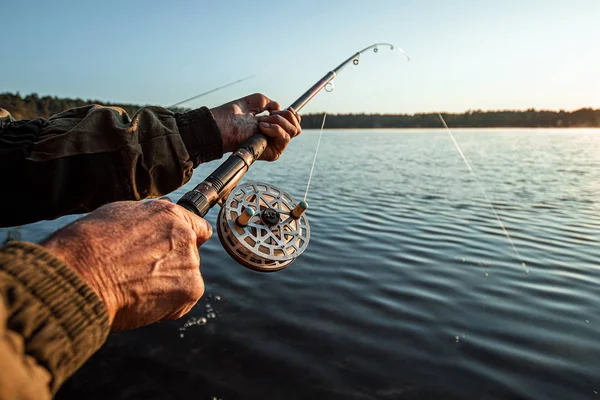 Mãos de um homem em um plano Urp segurar uma vara de pesca, um pescador pega peixe ao amanhecer. Conceito de férias hobby de pesca. Espaço de cópia . — Fotografia de Stock