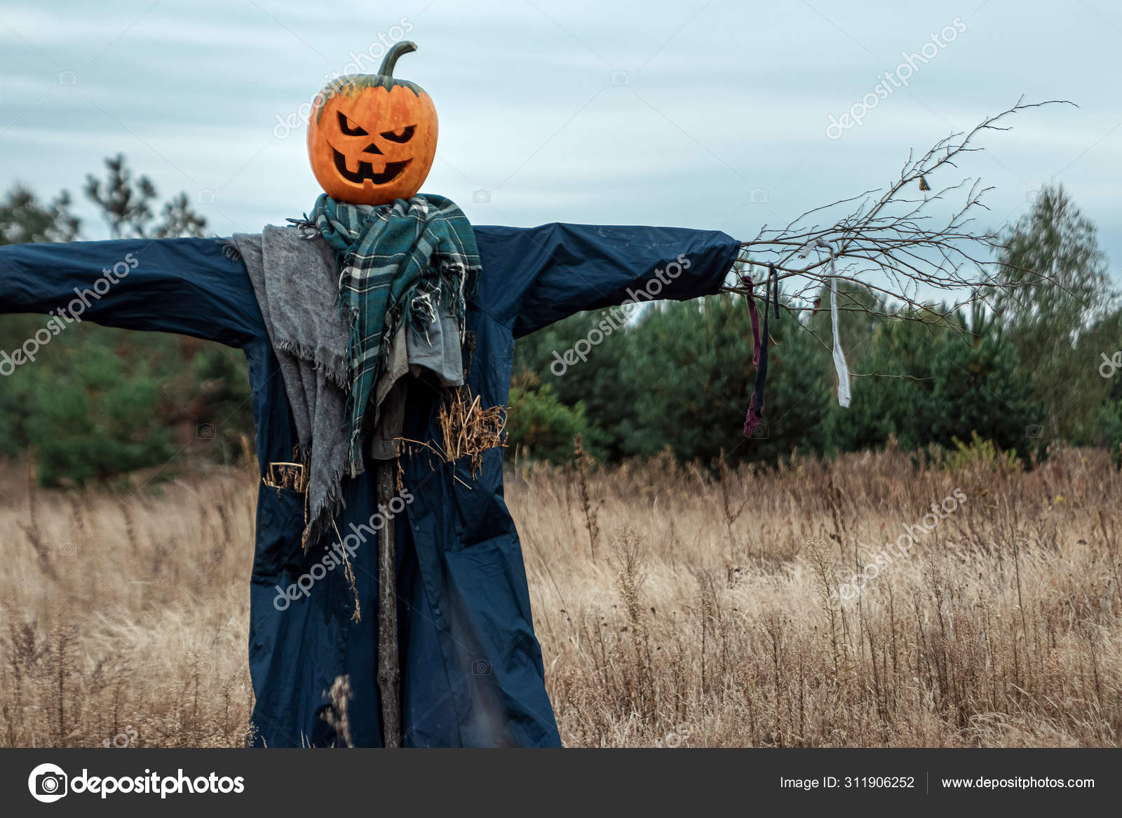 Et skummelt fugleskremsel med et halloween-gresskarhode i et felt i tåkete  vær. Halloween-bakgrunn, kopirom . – stockfoto © MarkoAliaksandr #311906252, image size:1600x1167
