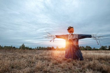 Bulutlu bir havada cadılar bayramı balkabağı kafalı korkunç bir korkuluk. Cadılar Bayramı arkaplanı, kopyalama alanı.