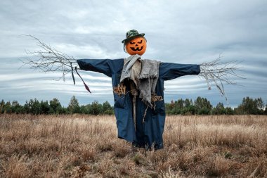 Bulutlu bir havada cadılar bayramı balkabağı kafalı korkunç bir korkuluk. Cadılar Bayramı arkaplanı, kopyalama alanı.