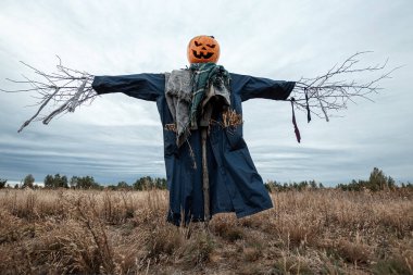 Bulutlu bir havada cadılar bayramı balkabağı kafalı korkunç bir korkuluk. Cadılar Bayramı arkaplanı, kopyalama alanı.