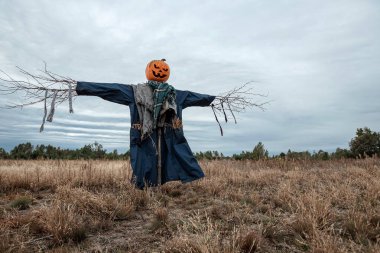 Bulutlu bir havada cadılar bayramı balkabağı kafalı korkunç bir korkuluk. Cadılar Bayramı arkaplanı, kopyalama alanı.