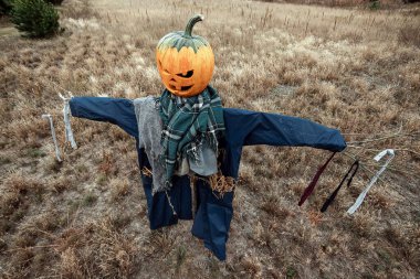 Bulutlu bir havada cadılar bayramı balkabağı kafalı korkunç bir korkuluk. Cadılar Bayramı arkaplanı, kopyalama alanı.
