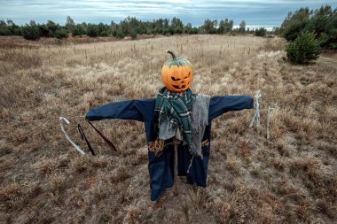 Bulutlu bir havada cadılar bayramı balkabağı kafalı korkunç bir korkuluk. Cadılar Bayramı arkaplanı, kopyalama alanı.