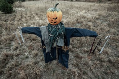 Bulutlu bir havada cadılar bayramı balkabağı kafalı korkunç bir korkuluk. Cadılar Bayramı arkaplanı, kopyalama alanı.