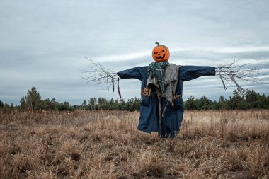 Bulutlu bir havada cadılar bayramı balkabağı kafalı korkunç bir korkuluk. Cadılar Bayramı arkaplanı, kopyalama alanı.