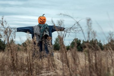 Bulutlu bir havada cadılar bayramı balkabağı kafalı korkunç bir korkuluk. Cadılar Bayramı arkaplanı, kopyalama alanı.