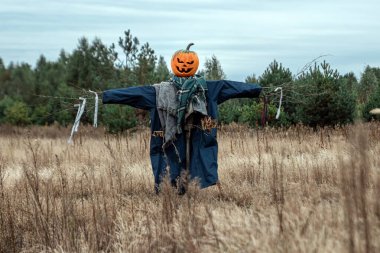 Bulutlu bir havada cadılar bayramı balkabağı kafalı korkunç bir korkuluk. Cadılar Bayramı arkaplanı, kopyalama alanı.
