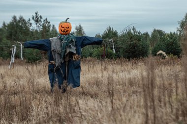 Bulutlu bir havada cadılar bayramı balkabağı kafalı korkunç bir korkuluk. Cadılar Bayramı arkaplanı, kopyalama alanı.