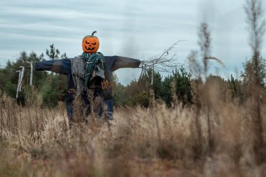 Bulutlu bir havada cadılar bayramı balkabağı kafalı korkunç bir korkuluk. Cadılar Bayramı arkaplanı, kopyalama alanı.