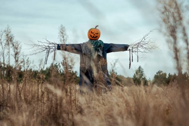 Bulutlu bir havada cadılar bayramı balkabağı kafalı korkunç bir korkuluk. Cadılar Bayramı arkaplanı, kopyalama alanı.