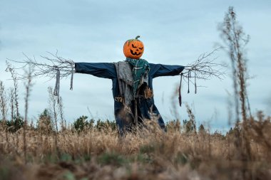 Bulutlu bir havada cadılar bayramı balkabağı kafalı korkunç bir korkuluk. Cadılar Bayramı arkaplanı, kopyalama alanı.