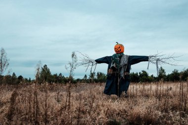 Bulutlu bir havada cadılar bayramı balkabağı kafalı korkunç bir korkuluk. Cadılar Bayramı arkaplanı, kopyalama alanı.