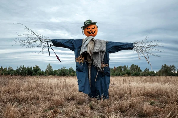 Bulutlu bir havada cadılar bayramı balkabağı kafalı korkunç bir korkuluk. Cadılar Bayramı arkaplanı, kopyalama alanı.