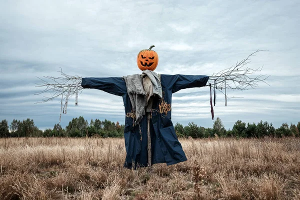 Un espantapájaros aterrador con una cabeza de calabaza de halloween en un campo con clima nublado. Fondo de Halloween, espacio de copia . — Foto de Stock