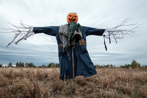 Bulutlu bir havada cadılar bayramı balkabağı kafalı korkunç bir korkuluk. Cadılar Bayramı arkaplanı, kopyalama alanı.