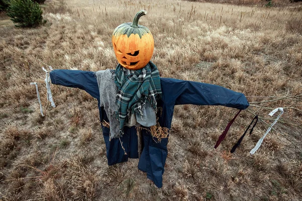 Bulutlu bir havada cadılar bayramı balkabağı kafalı korkunç bir korkuluk. Cadılar Bayramı arkaplanı, kopyalama alanı.
