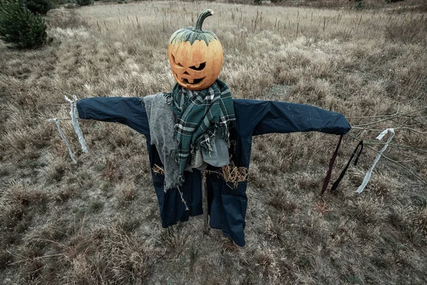 Bulutlu bir havada cadılar bayramı balkabağı kafalı korkunç bir korkuluk. Cadılar Bayramı arkaplanı, kopyalama alanı.