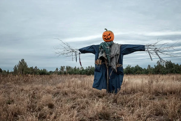 Bulutlu bir havada cadılar bayramı balkabağı kafalı korkunç bir korkuluk. Cadılar Bayramı arkaplanı, kopyalama alanı.