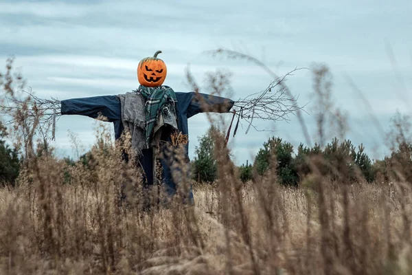 Bulutlu bir havada cadılar bayramı balkabağı kafalı korkunç bir korkuluk. Cadılar Bayramı arkaplanı, kopyalama alanı.