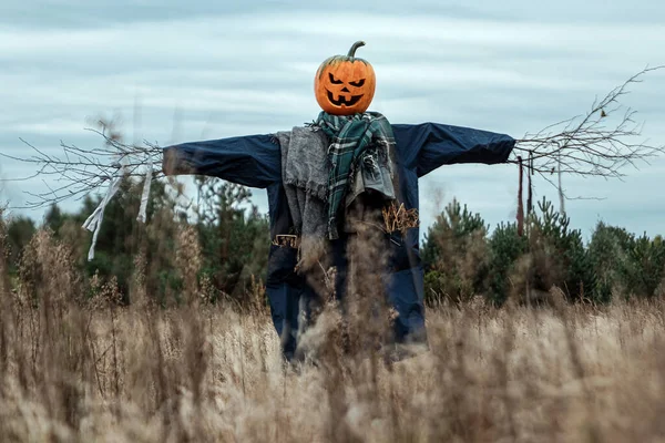 Bulutlu bir havada cadılar bayramı balkabağı kafalı korkunç bir korkuluk. Cadılar Bayramı arkaplanı, kopyalama alanı.