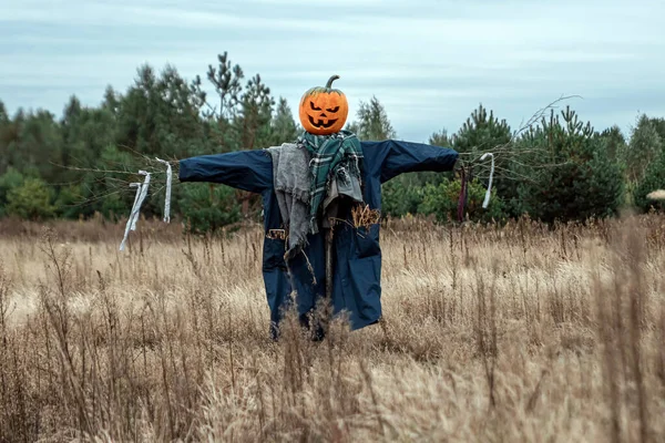 Bulutlu bir havada cadılar bayramı balkabağı kafalı korkunç bir korkuluk. Cadılar Bayramı arkaplanı, kopyalama alanı.