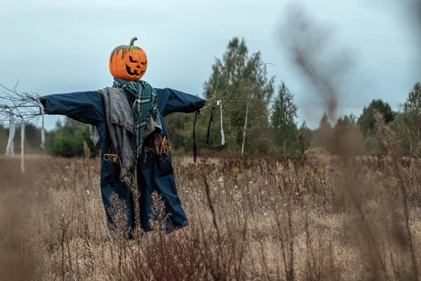 A scary scarecrow with a halloween pumpkin head in a field in cloudy weather. Halloween background, copy space.