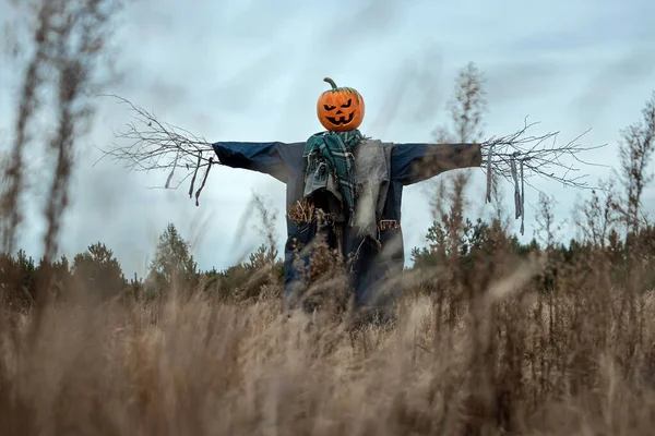 A scary scarecrow with a halloween pumpkin head in a field in cloudy weather. Halloween background, copy space.