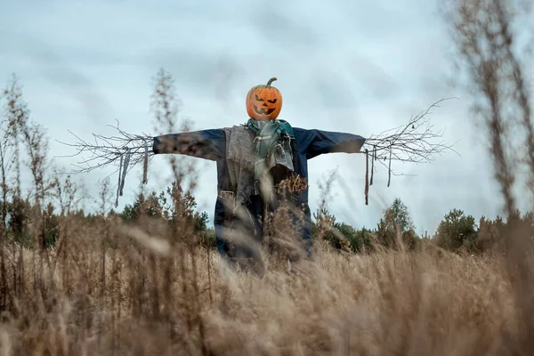 A scary scarecrow with a halloween pumpkin head in a field in cloudy weather. Halloween background, copy space. — Stock Photo, Image