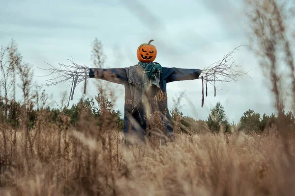 Bulutlu bir havada cadılar bayramı balkabağı kafalı korkunç bir korkuluk. Cadılar Bayramı arkaplanı, kopyalama alanı.