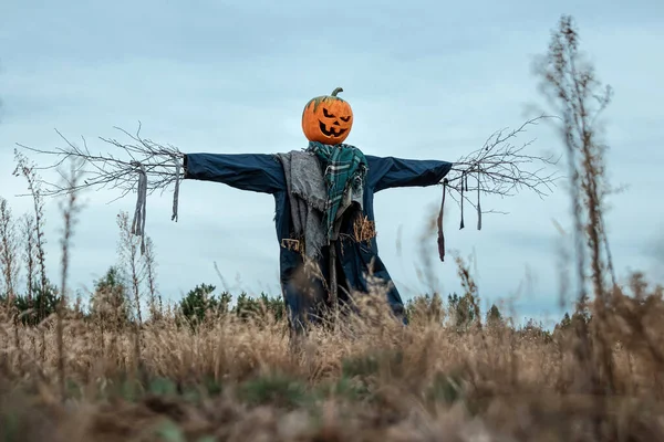 Bulutlu bir havada cadılar bayramı balkabağı kafalı korkunç bir korkuluk. Cadılar Bayramı arkaplanı, kopyalama alanı.