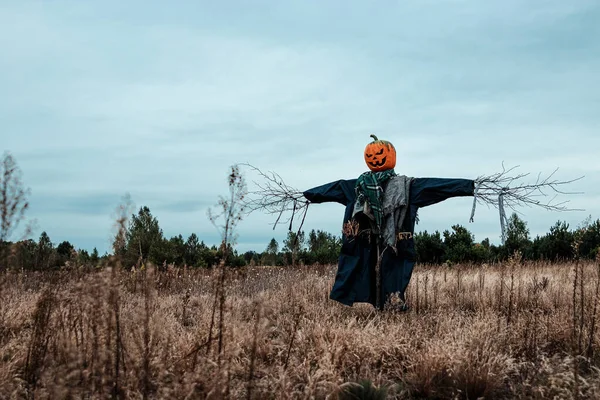 Bulutlu bir havada cadılar bayramı balkabağı kafalı korkunç bir korkuluk. Cadılar Bayramı arkaplanı, kopyalama alanı.