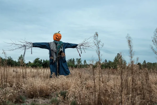 Bulutlu bir havada cadılar bayramı balkabağı kafalı korkunç bir korkuluk. Cadılar Bayramı arkaplanı, kopyalama alanı.