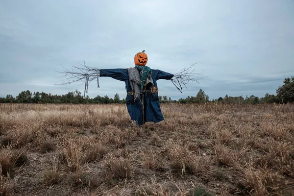 Un espantapájaros aterrador con una cabeza de calabaza de halloween en un campo con clima nublado. Fondo de Halloween, espacio de copia . —  Fotos de Stock