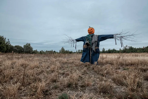 Eine gruselige Vogelscheuche mit einem Halloween-Kürbiskopf auf einem Feld bei bewölktem Wetter. Halloween-Hintergrund, Kopierraum. — Stockfoto