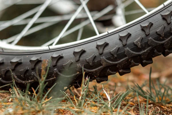 Roda Com Uma Banda Rodagem Com Fecho Corrente Bicicleta Treino — Fotografia de Stock