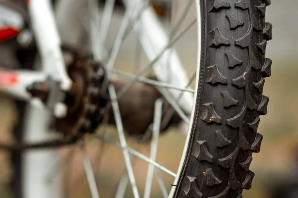 Wheel with a tread with a chain closeup. Bike, cardio workout