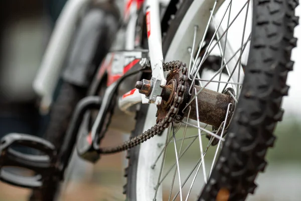 Rad Mit Lauffläche Mit Kettennaht Fahrrad Cardio Workout — Stockfoto